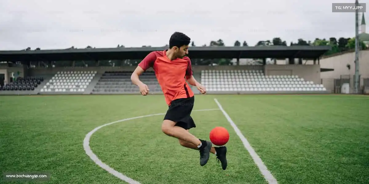 行业领先的理由